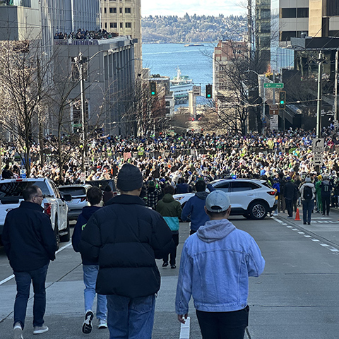 Seahawks Parade